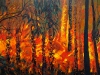 firestorm-aug-final-net
